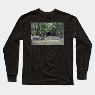 Fallen Coast Redwood Long Sleeve T-Shirt